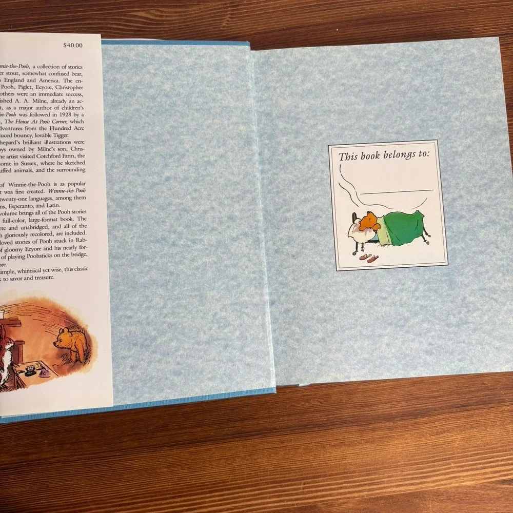 Vintage Winnie the Pooh Hardcover Book‎ Lot A.A. Milne 1996 First Edition & 1994
